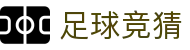 足球竞猜新体验：世界杯期间的高品质娱乐推荐